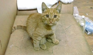 1920 X 1152 282.1 Kb  , , 3-4 ,   