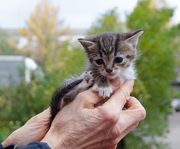 1920 X 1581 874.0 Kb      .