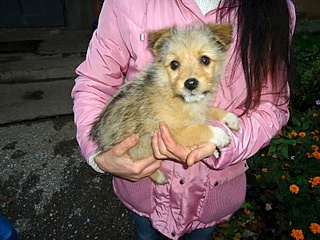 800 X 600 225.4 Kb ��������� ���� ������ ���� ���. �����.