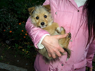 800 X 600 237.9 Kb 800 X 600 225.4 Kb ��������� ���� ������ ���� ���. �����.