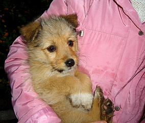 800 X 676 232.9 Kb 800 X 600 237.9 Kb 800 X 600 225.4 Kb ��������� ���� ������ ���� ���. �����.