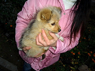 800 X 600 188.2 Kb 800 X 676 232.9 Kb 800 X 600 237.9 Kb 800 X 600 225.4 Kb ��������� ���� ������ ���� ���. �����.