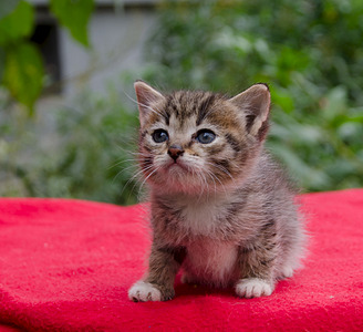 1920 X 1754 744.0 Kb      .