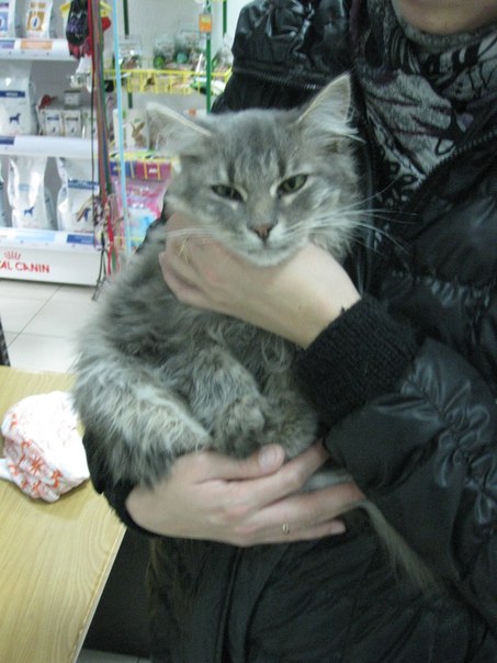 453 x 604 604 X 453  52.4 Kb 453 X 604  50.4 Kb   Ѹ     !
