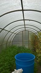 959 X 1707 345.2 Kb   / 