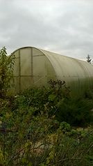 959 X 1707 262.1 Kb   / 