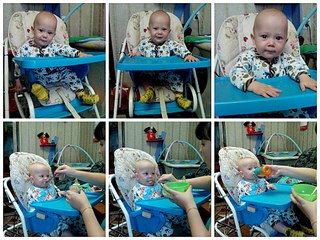 1024 X 768 218.0 Kb Домик малышей 2014 и их родителей.