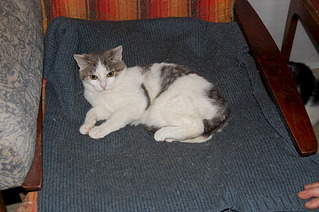 1920 X 1276 649.7 Kb     !