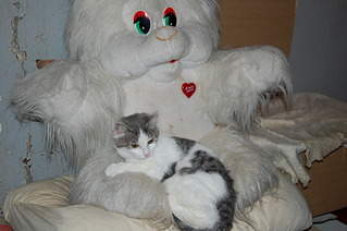 1920 X 1276 392.0 Kb     !