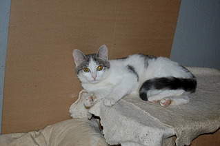 1920 X 1276 484.3 Kb     !