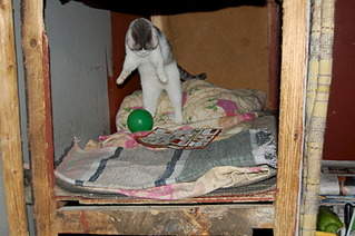 1920 X 1276 554.9 Kb     !