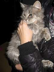 453 X 604  50.4 Kb   !