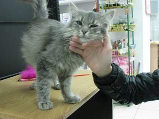 604 X 453  52.4 Kb 453 X 604  50.4 Kb   !