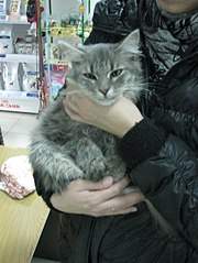 453 X 604  57.0 Kb 604 X 453  52.4 Kb 453 X 604  50.4 Kb   !