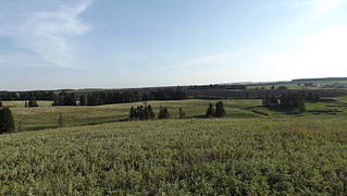 1920 X 1081 204.5 Kb / 12  /  / / 460 ..