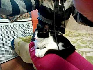 1280 X 960 266.6 Kb 1280 X 960 275.6 Kb 768 X 1024 127.0 Kb  