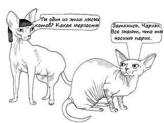 500 X 375  34.5 Kb Улыбнемся?