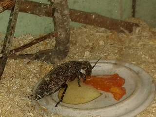 1920 X 1440 149.7 Kb   