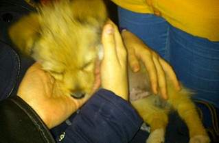 1718 X 1125 330.1 Kb 1597 X 1125 249.6 Kb ��������� ���� ������ ���� ���. �����.