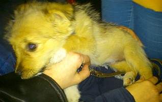 1784 X 1125 363.2 Kb 1718 X 1125 330.1 Kb 1597 X 1125 249.6 Kb ��������� ���� ������ ���� ���. �����.