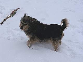 398 X 297  31.1 Kb Я помню.....