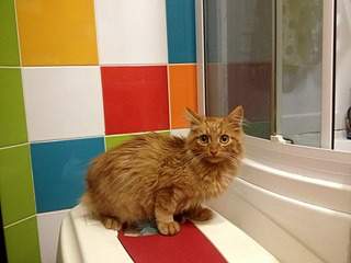 1920 X 1440 692.9 Kb     !