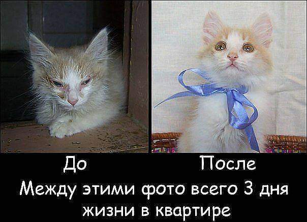 604 x 437 ДО И ПОСЛЕ.Любовь творит чудеса