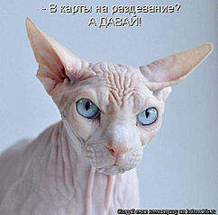 485 X 480  33.1 Kb 640 X 402  29.7 Kb Улыбнемся?