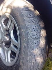 1920 X 2560 385.5 Kb  14      . 13 -4.