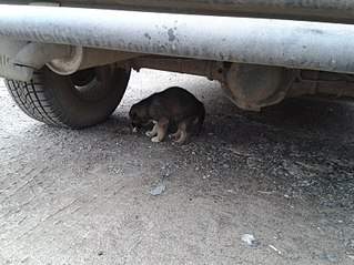 807 X 605 125.6 Kb 807 X 605 112.0 Kb 807 X 605 134.1 Kb SOS   