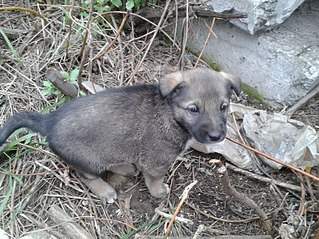 807 X 605 162.1 Kb 807 X 605 125.6 Kb 807 X 605 112.0 Kb 807 X 605 134.1 Kb SOS   