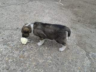 604 X 453 90.9 Kb 807 X 605 162.1 Kb 807 X 605 125.6 Kb 807 X 605 112.0 Kb 807 X 605 134.1 Kb SOS   