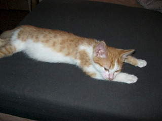 1920 X 1440 547.9 Kb  !