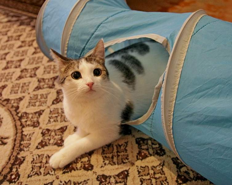 1920 X 1527 180.7 Kb  ,    .