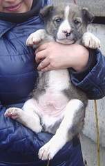 806 X 1271 220.1 Kb 601 X 1068 177.6 Kb 689 X 1106 188.5 Kb 590 X 1070 171.0 Kb SOS   ,     