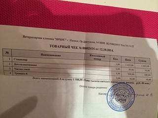 1920 X 1440 549.1 Kb   !