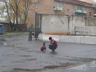 1280 X 960 298.7 Kb 1280 X 960 161.5 Kb 1280 X 960 200.1 Kb Собаки поисково-спасательной службы Удмуртии