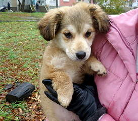 800 X 703 270.0 Kb ��������� ���� ������ ���� ���. �����.