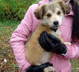 800 X 728 260.8 Kb 800 X 703 270.0 Kb ��������� ���� ������ ���� ���. �����.