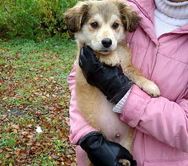 800 X 704 267.2 Kb 800 X 728 260.8 Kb 800 X 703 270.0 Kb ��������� ���� ������ ���� ���. �����.