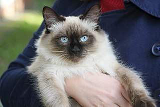 1280 X 853 174.7 Kb 1280 X 853 181.8 Kb  