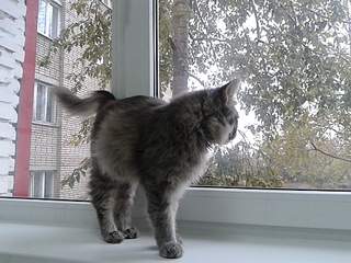 960 X 720 337.7 Kb   !