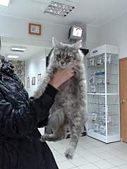 720 X 960 239.7 Kb 960 X 720 337.7 Kb   !