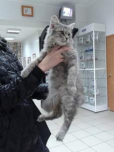 720 X 960 257.6 Kb   Ѹ     !