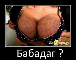 400 X 320  37.4 Kb WOOMEN 