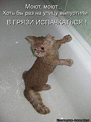 360 X 480 25.6 Kb Улыбнемся?
