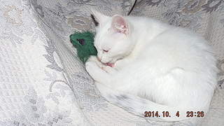 1920 X 1080 327.9 Kb ������������ ����������� ������-�������