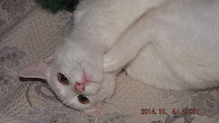 1920 X 1080 264.0 Kb 1920 X 1080 327.9 Kb ������������ ����������� ������-�������