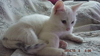 1920 X 1080 244.5 Kb 1920 X 1080 264.0 Kb 1920 X 1080 327.9 Kb ������������ ����������� ������-�������