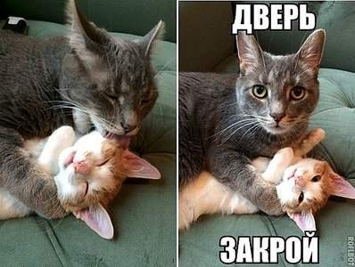 587 X 442 65.6 Kb 600 X 450 65.3 Kb Улыбнемся?